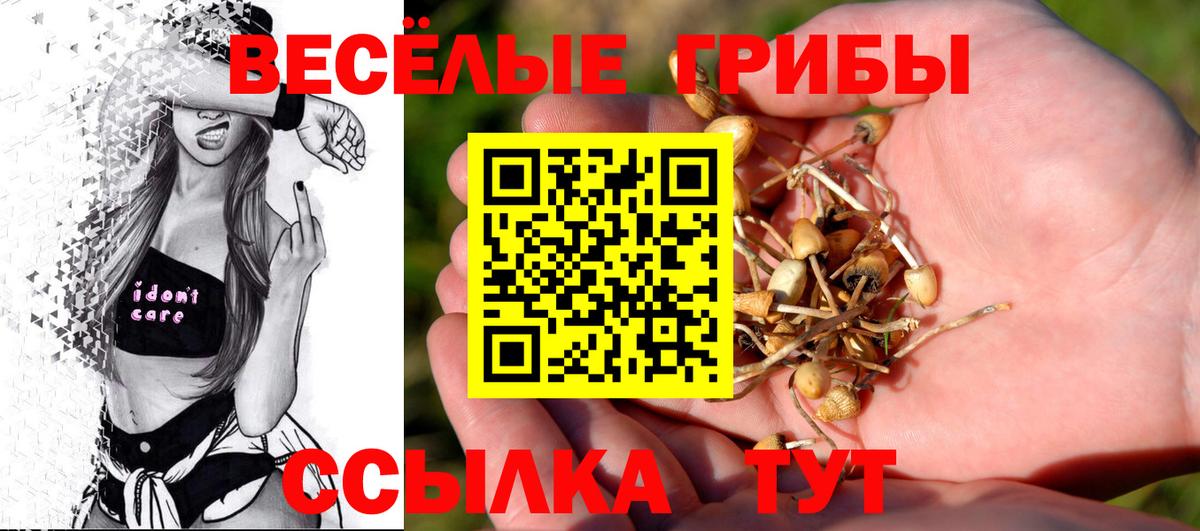 Галлюциногенные грибы MAGIC MUSHROOMS  Вход с VPN  Хасавюрт 