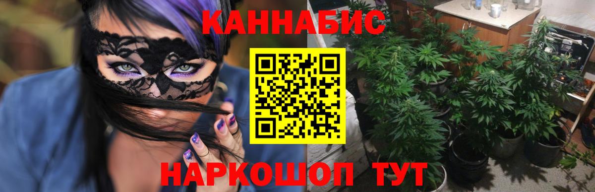 Каннабис конопля Хасавюрт